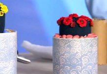 Программа «Жить Здорово» от 28.03.2017: Вечный кактус. Как его сделать своими руками