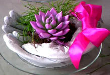 Программа «Жить Здорово» от 07.03.2017: Подарок любимой женщине. Как его сделать своими руками