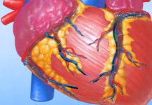 Программа «Жить Здорово» от 03.03.2017: Лекарства, которые помогут вашему сердцу отдохнуть. Сердечные средства