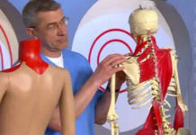 Программа «Жить Здорово» от 04.04.2017: Встань и иди с доктором Шубиным. Боль в шее