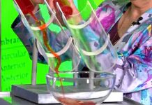 Программа «Жить Здорово» от 26.05.2017: Давление и дача. От чего поднимается артериальное давление