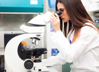 ДНК. О чем расскажет генетический анализ?