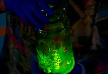 Программа «Жить Здорово» от 10.08.2017: Светящаяся банка