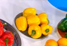 Программа «Жить здорово» от 13.11.2017: Лучшие продукты на свете. Болгарский перец