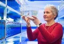 8 выдающихся женщин-медиков, которые изменили мир