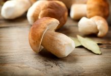 Грибы в рационе: аргументы за и против