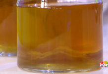 Программа «Жить здорово» повтор от 18.10.2018: Чайный гриб комбуча