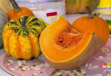 Программа «Жить здорово» от 31.10.2018: Вся правда о тыкве