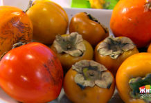 Программа «Жить здорово» от 12.12.2018: Хурма. Чем она опасна?