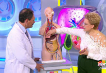 Программа «Жить здорово» от 12.12.2018: Рак поджелудочной железы