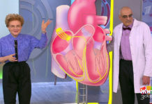 Программа «Жить здорово» от 18.01.2019: Крещенские купания