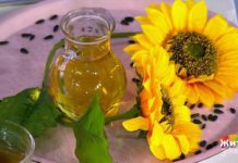 Программа «Жить здорово» от 27.02.2019: Подсолнечное масло. Экспертиза