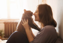 Датские учёные: любители кошек чаще страдают шизофренией