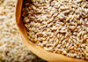 Ячневая крупа: максимальная польза для людей с диабетом и ожирением