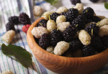 Шелковица: как выбрать и в чем польза