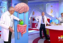 Программа «Жить здорово» от 26.09.2019: Продукты при синдроме раздраженного кишечника