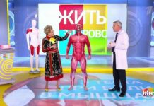 Программа «Жить здорово» повтор от 25.10.2019: 3 теста при боли в мышцах