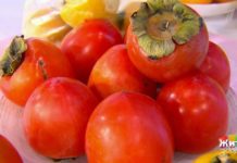 Программа «Жить здорово» от 15.11.2019: От хурмы не зарекайся