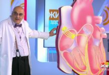 Программа «Жить здорово» от 18.11.2019: Тестируем гаджеты. ЭКГ в смартфоне