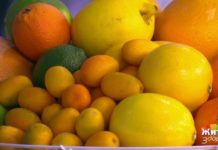 Программа «Жить здорово» от 26.12.2019: Истинный аллерген. Мандарины