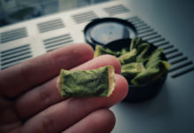 Снюсомания: как табачные «конфетки» вызывают зависимость у подростков