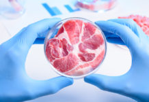 Еда будущего: станет ли растительное мясо популярнее животного