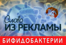 Слово из рекламы: бифидобактерии
