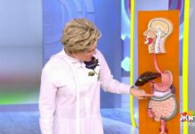 Программа «Жить здорово» от 18.02.2020: Саммит по полипам