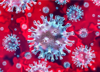 Кроссворд на тему вирусный гепатит