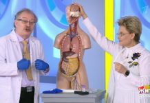 Программа «Жить здорово» от 20.04.2020: Вакцина БЦЖ против коронавируса