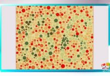 Программа «Жить здорово» от 11.06.2020: Отец недуга. Дальтон