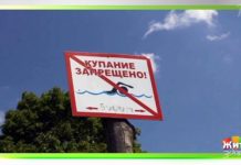 Программа «Жить здорово» от 19.06.2020: Отпуск все-таки будет. Купаемся в речке