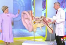 Программа «Жить здорово» от 23.06.2020: Как правильно чистить уши