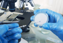 Учёные нашли потенциальное лекарство против смертельной инфекции