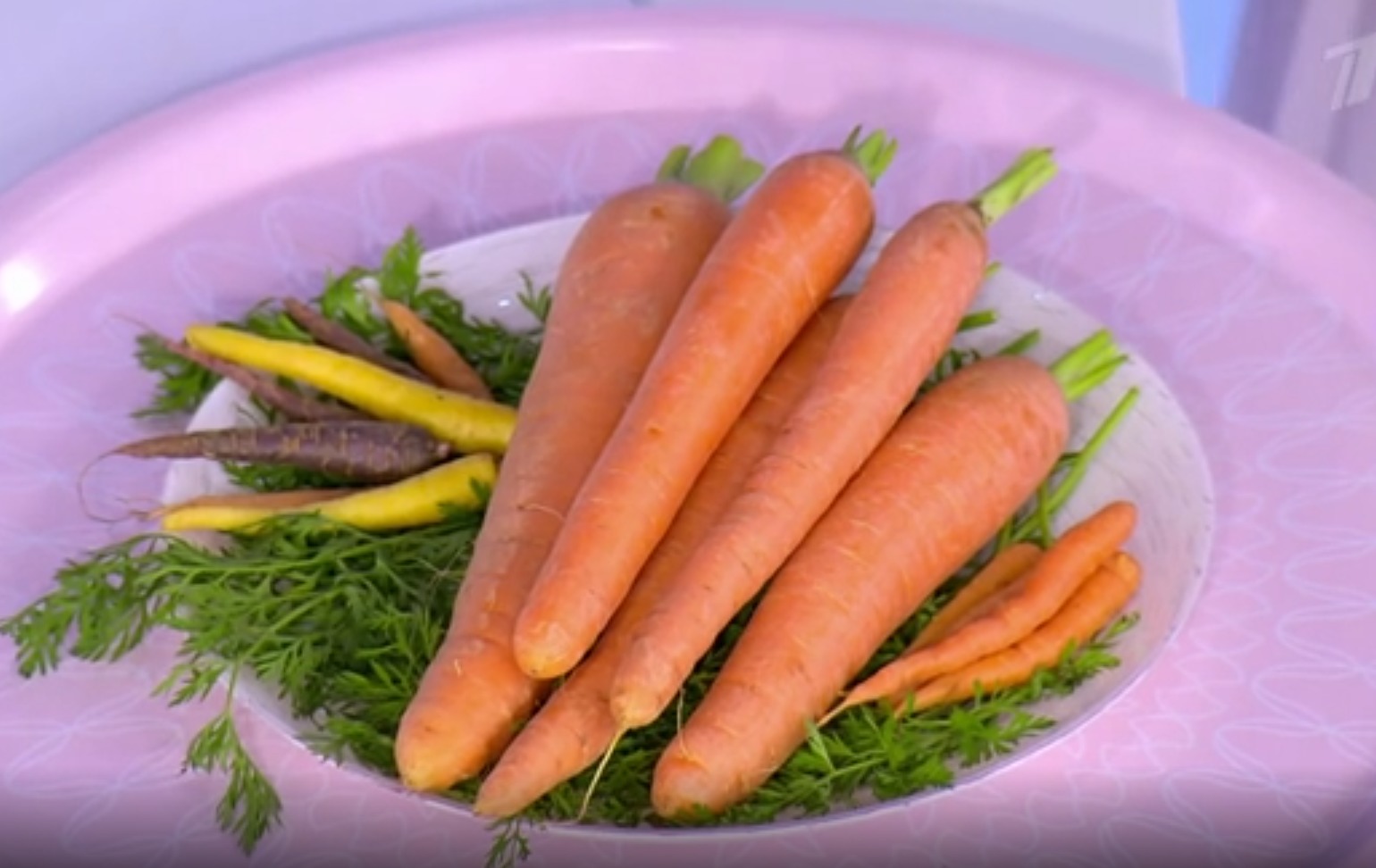 Морковь про 100 дней в секретной комнате. Логотип морковь pro. Блокнот с логотипом. Морковка логотип. Морковка логотип.