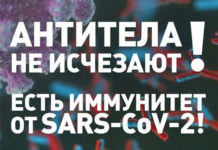 Защита есть! Антитела против коронавируса сохраняются долго