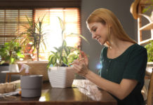 Ботанический ад: самые опасные домашние растения