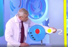 Программа «Жить здорово» от 01.12.2020: ЭКО-невидаль. Мифы и правда про ЭКО