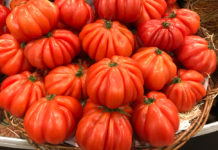 «Бычье сердце»: чем полезен самый мясистый сорт томатов