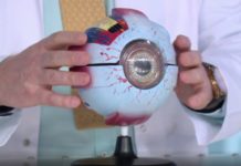 Программа «Жить здорово» от 18.02.2021: Совет от Андрея Продеуса