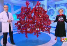 Программа «Жить здорово» от 25.02.2021: Странные причины проверить легкие