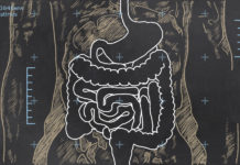 Если кишечник бьет тревогу: симптомы болезней ЖКТ