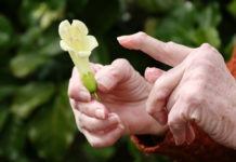 Ревматоидный артрит: правила самозащиты