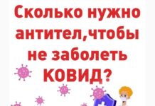 Сколько нужно антител, чтобы не заболеть КОВИД?