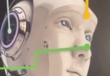 7 цветов, 7 ароматов, 7 состояний