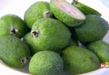 Программа «Жить здорово» от 22.03.2021: Три суперпродукта в пост. Йод