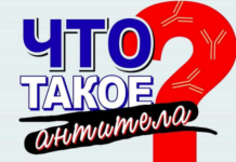 Что такое антитела?
