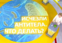 Программа «Жить здорово» от 14.04.2021: Исчезли антитела. Что делать?