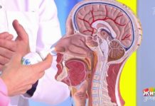 Программа «Жить здорово» от 20.04.2021: Совет от Игоря Бранована