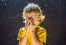 Домашняя пыль и ее обитатели